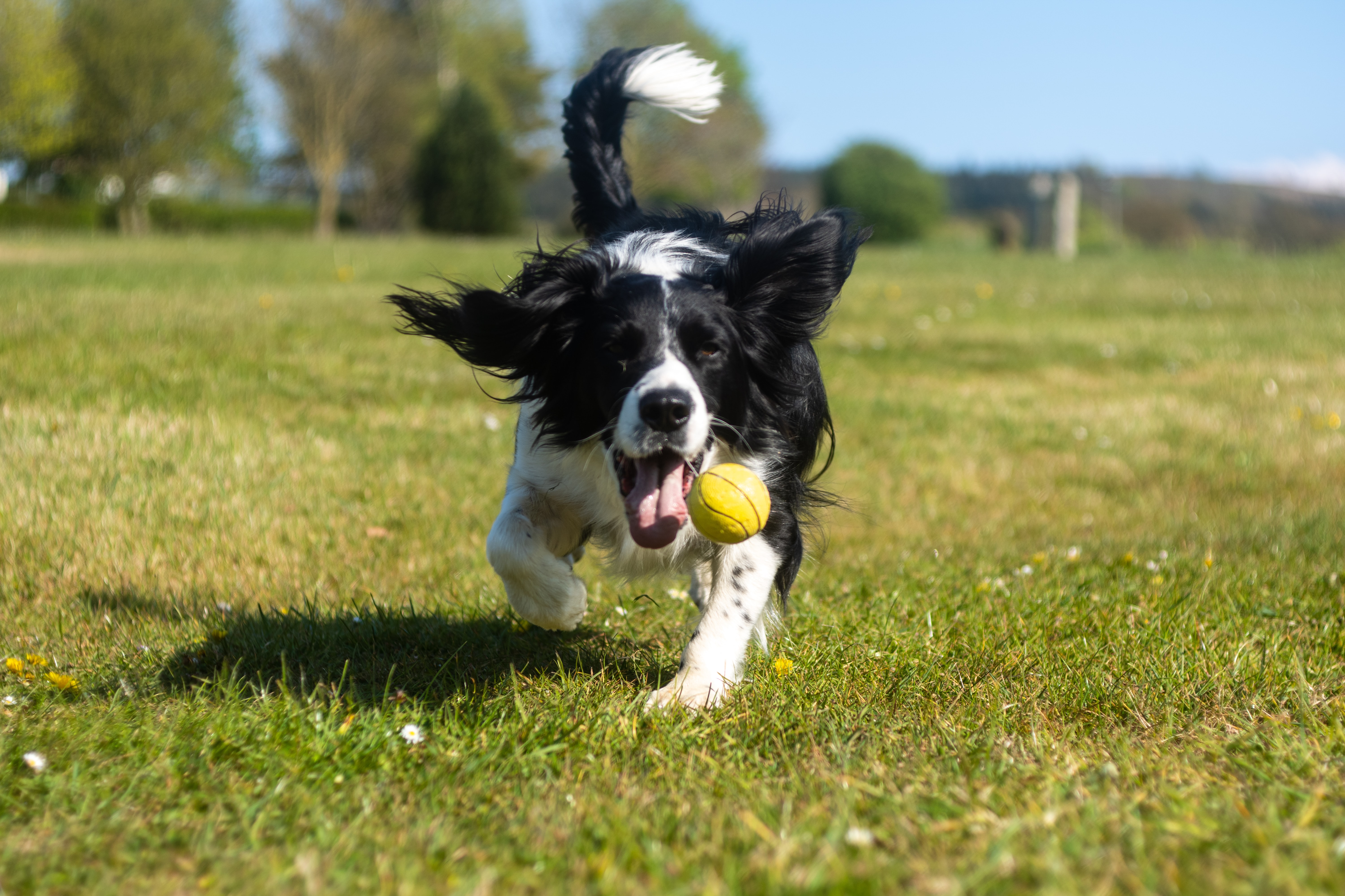 andy-powell-gue-qlq-ej8-unsplash